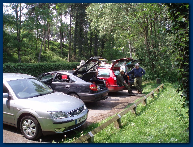 600x449 pixels (204K)